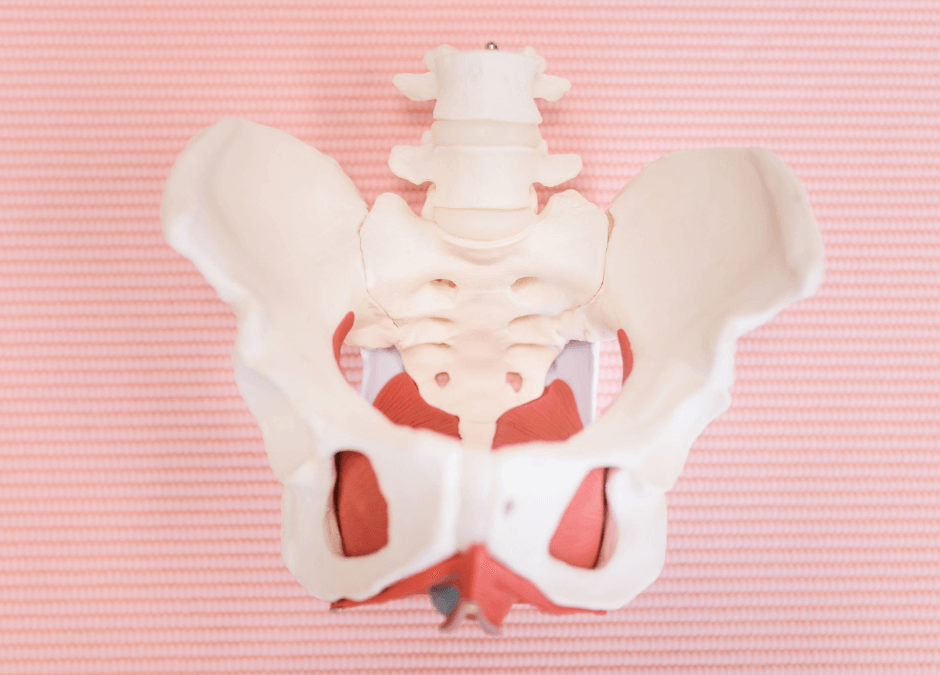 How to Prepare for Your Women’s Health Pelvic Floor Appointment